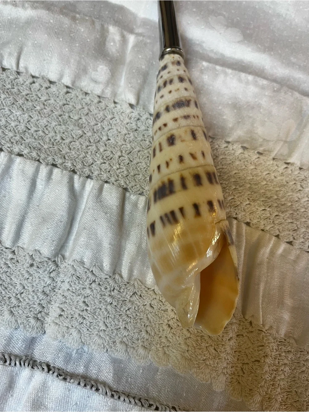 Mud Pie Seashell Handle Serving Dining Spoon – Coastal Shell